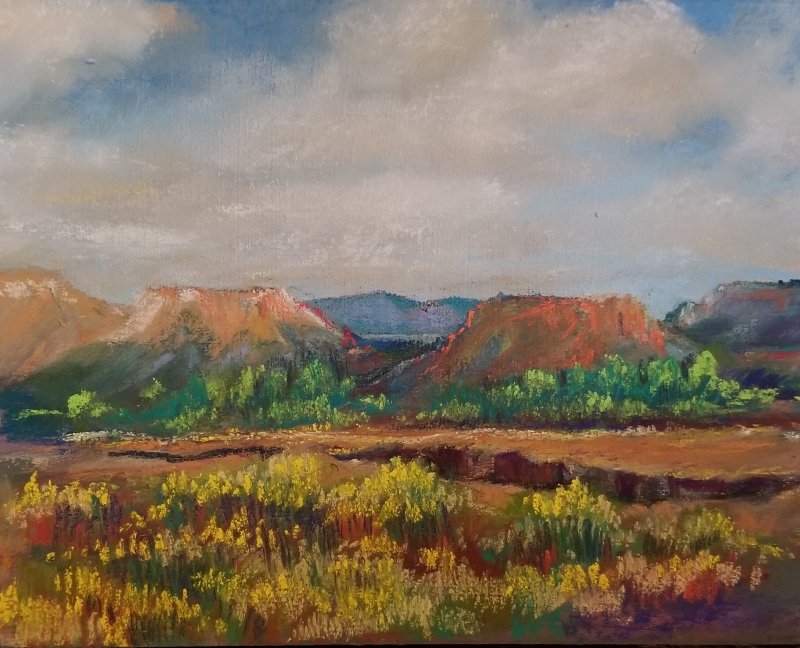 Northern New Mexico Springtime by artist julia fletcher